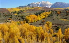 Осень, деревья, горы HD обои