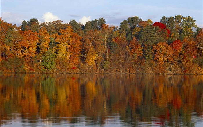 Осень, деревья, река обои,s изображение