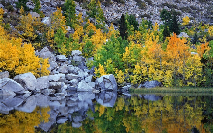 Осень, деревья, скалы, озеро, вода отражение обои,s изображение