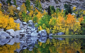 Осень, деревья, скалы, озеро, вода отражение