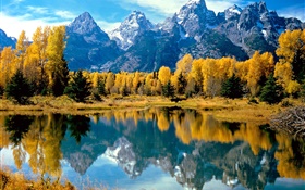 Осень, деревья, желтый, озеро, горы HD обои