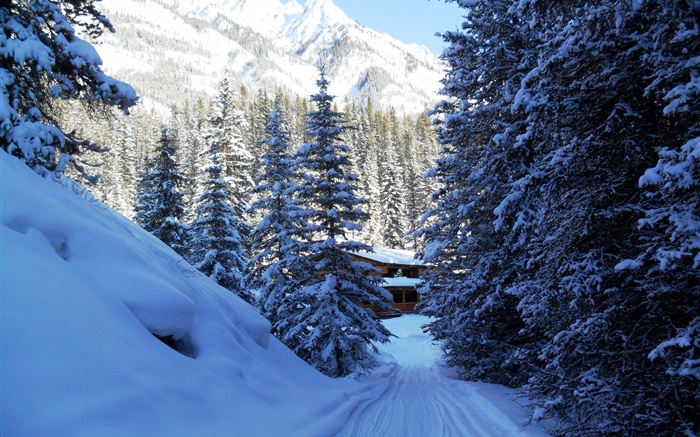Национальный парк Банф, Канада, деревья, дома, горы, снег обои,s изображение