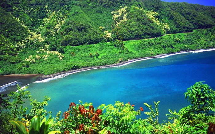 Бей, море, горы, зеленые растения, Гавайи, США обои,s изображение