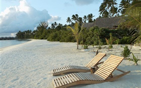 Пляж, стул, пальмы, тропические HD обои