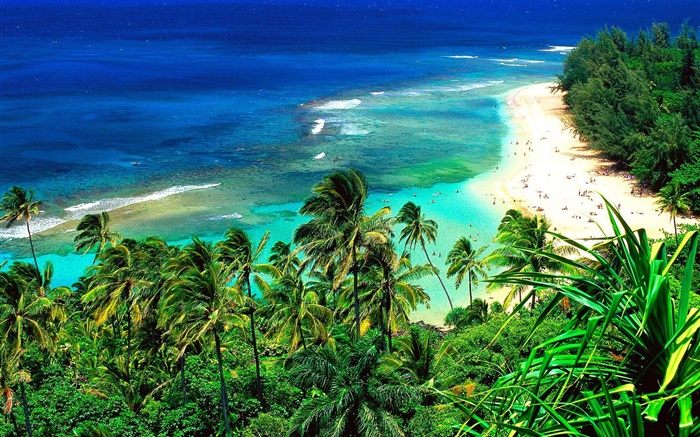 Пляж, люди, путешествия, синее море, Гавайи, США обои,s изображение