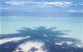 Пляж, море, пальмы тень, Мальдивские о-ва HD обои