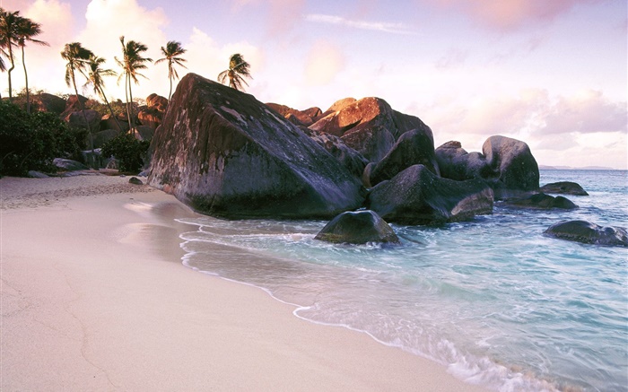 Пляж, море, камни, скалы, пальмы обои,s изображение