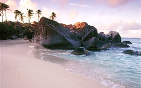 Пляж, море, камни, скалы, пальмы HD обои