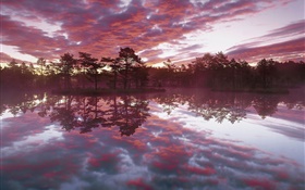 Красивый закат, деревья, озеро, отражение воды, красные облака