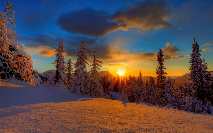 Красивый закат, зима, снег, деревья, закат обои,s изображение