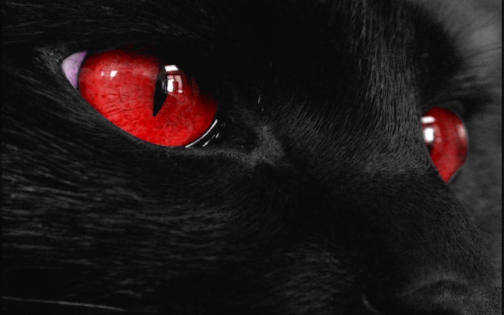 Черное животное лицо, красные глаза 1680x1050 обои.