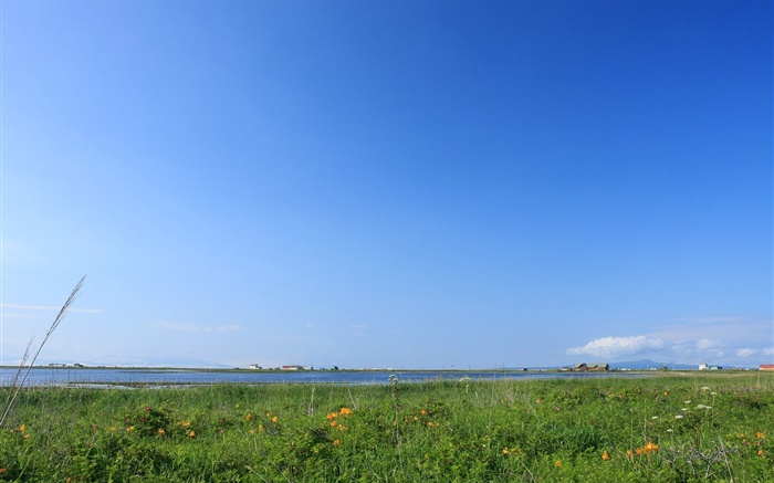 Голубое небо, трава, берег, Хоккайдо, Япония обои,s изображение