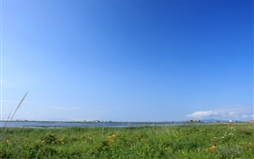 Голубое небо, трава, берег, Хоккайдо, Япония HD обои
