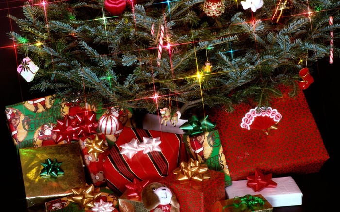 Рождественские подарки, огни, сосновые веточки обои,s изображение