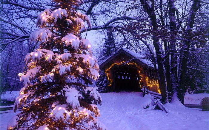 Рождественская елка, снег, дом, деревья обои,s изображение