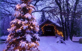 Рождественская елка, снег, дом, деревья