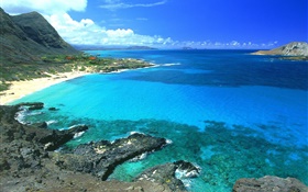 Побережье, синее море и небо, Гавайи, США HD обои