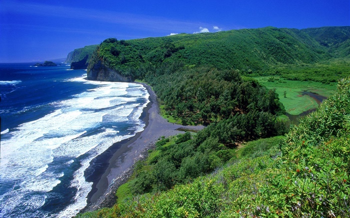 Побережье, море, пляж, Гавайи, США обои,s изображение