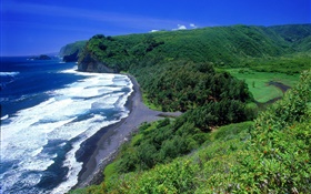 Побережье, море, пляж, Гавайи, США HD обои