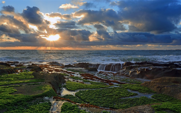 Побережье, камни, закат, облака, Тихий океан обои,s изображение