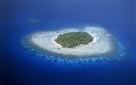 Коралловые рифы, Микронезия, море, остров