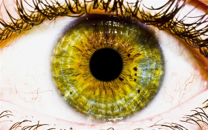Креативные фотографии, желтый глаз, зрачок обои,s изображение