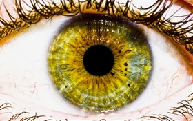 Креативные фотографии, желтый глаз, зрачок HD обои