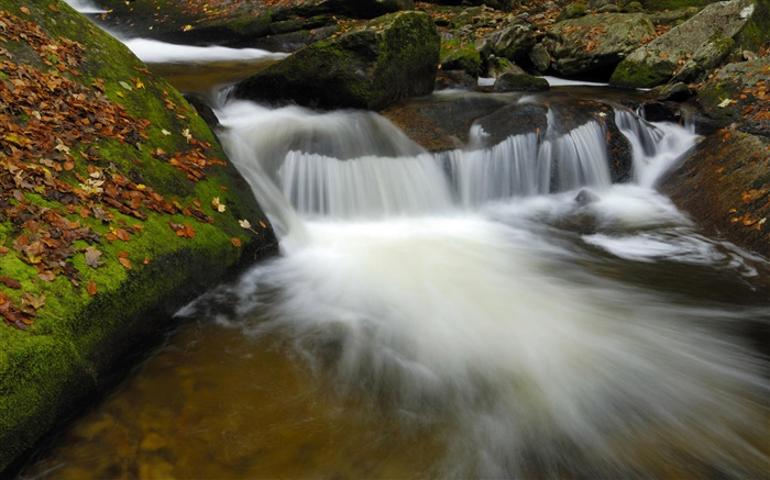 Крик, ручей, камни, осень обои,s изображение