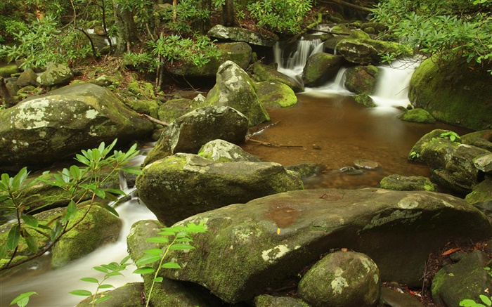 Крик, лето, Грейт-Смоки-Национальный парк, штат Теннесси, США обои,s изображение