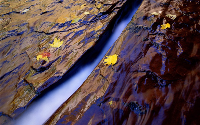 Крик, вода, камни, желтые листья обои,s изображение