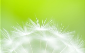 Одуванчик цветы крупным планом, зеленый фон