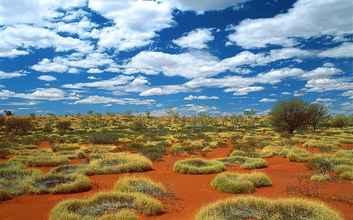 Пустыня, трава, облака, Австралия обои,s изображение