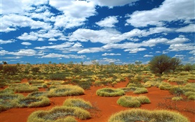Пустыня, трава, облака, Австралия HD обои