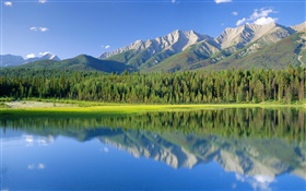 Собака озеро, горы, лес, Кутеней, Британская Колумбия, Канада HD обои