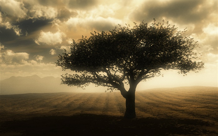 Dusk, дерево, облака, земля обои,s изображение
