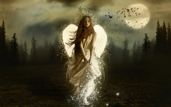 Фэнтези девушка ангел, белые крылья, ночь, луна, птицы обои,s изображение