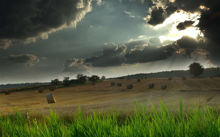 Поле, сено, трава, облачное небо, солнечные лучи обои,s изображение