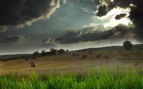 Поле, сено, трава, облачное небо, солнечные лучи HD обои