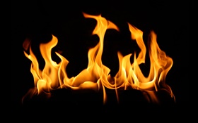 Пожар пламени крупным планом, черный фон HD обои
