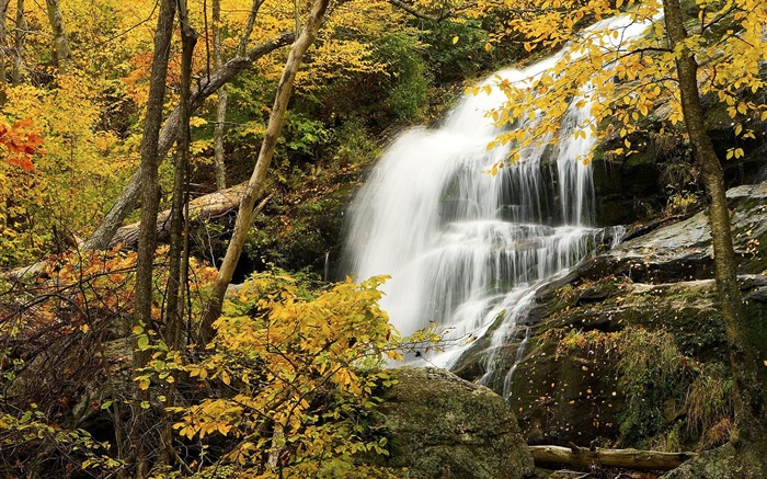 Лес, деревья, осень, скалы, водопад обои,s изображение
