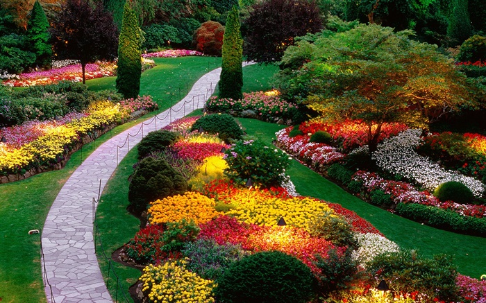 Садовые цветы, красочные, весна обои,s изображение