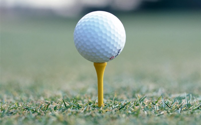 Мяч для гольфа крупным планом обои,s изображение