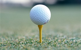 Мяч для гольфа крупным планом HD обои