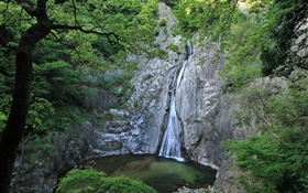 Великая Природа, водопады, скалы, озеро, деревья, Хоккайдо, Япония HD обои