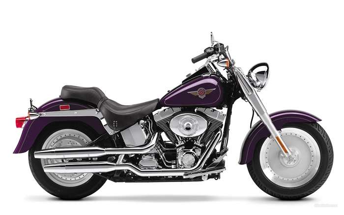 Harley-Davidson мотоцикл, Fatboy обои,s изображение