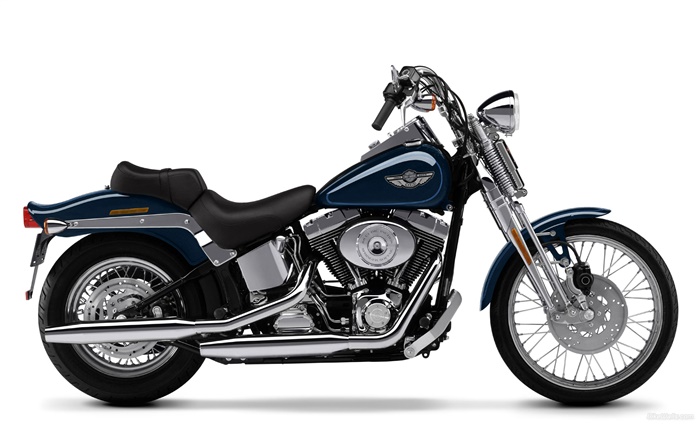 Harley-Davidson мотоцикл, Springer Softail обои,s изображение