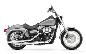 Harley-Davidson мотоцикл, черный и серый HD обои