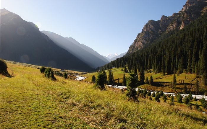 Кыргызстан, лес, деревья, горы, утро, трава, река обои,s изображение