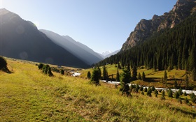 Кыргызстан, лес, деревья, горы, утро, трава, река