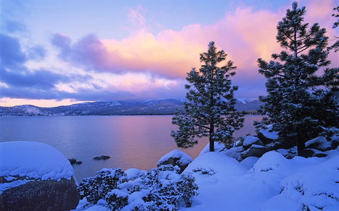 Lake Tahoe, зима, снег, деревья, закат, США обои,s изображение